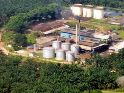 industri kelapa sawit