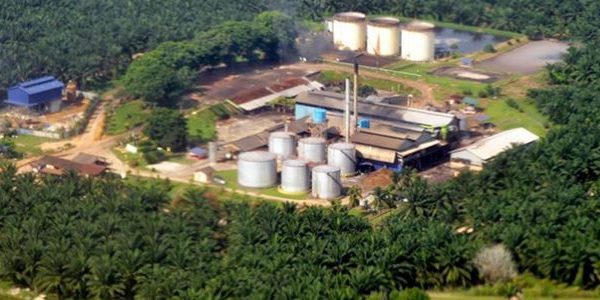 industri kelapa sawit