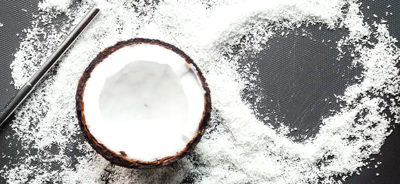 hammer mill desiccated coconut