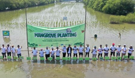 Mangrove Planting Eonchemicals