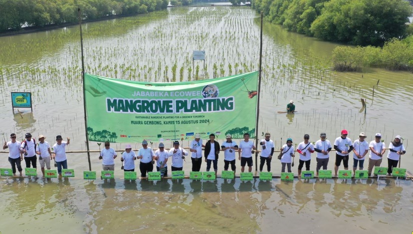 Mangrove Planting Eonchemicals