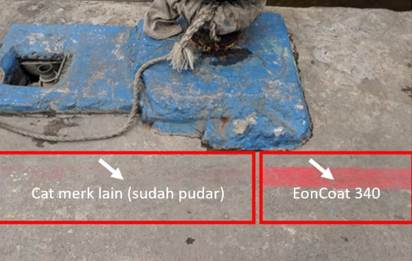 Cat biasa vs eoncoat 340